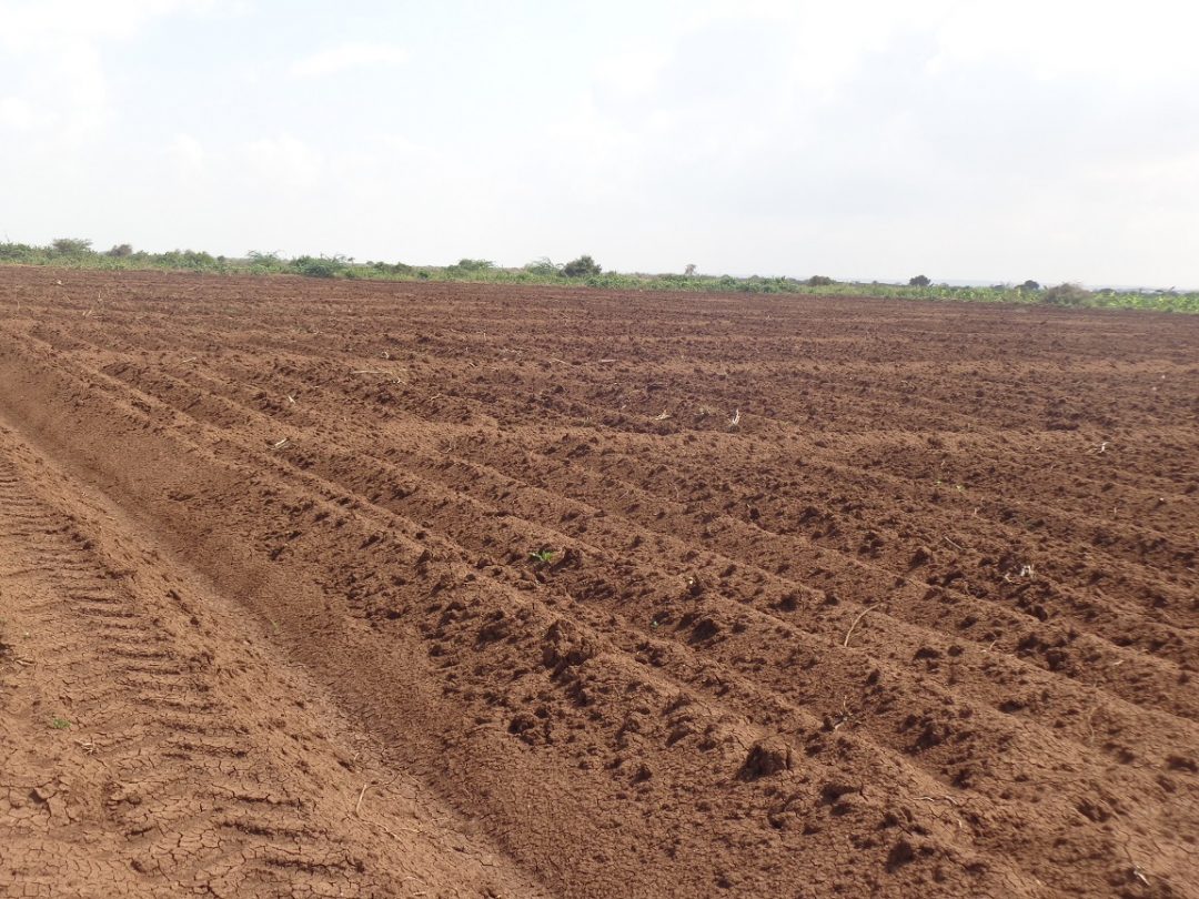 Demonstration Plots A Source of Innovation, Modern Technology and