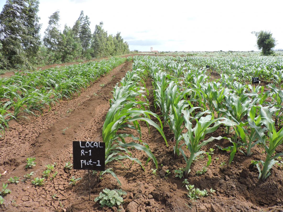 Demonstration Plots A Source of Innovation, Modern Technology and