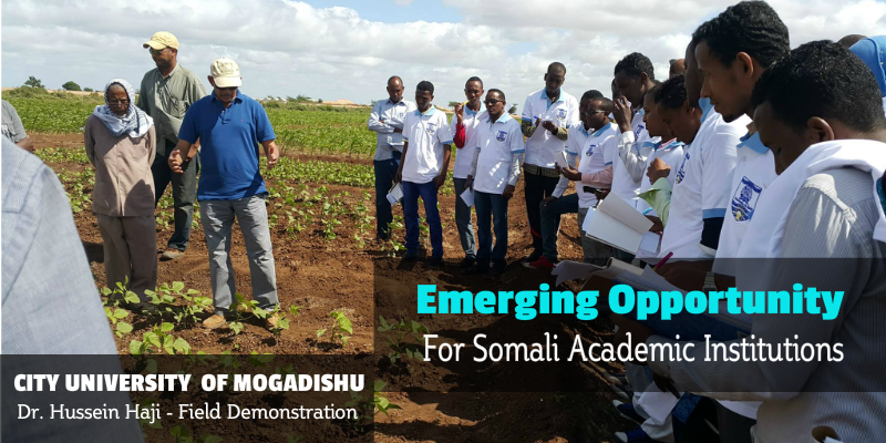 A New Era for Agricultural Research in Somalia and Emerging Opportunity for Somali Academic Institutions