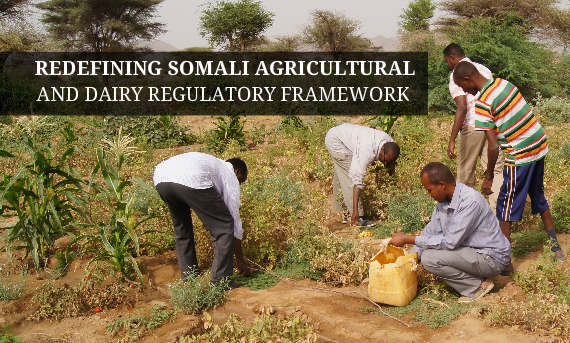 Redefining Somali Agricultural and Dairy Regulatory Frameworks