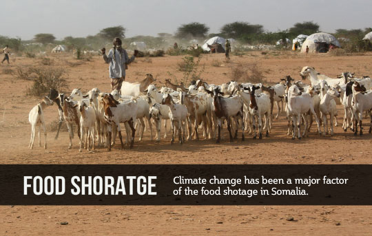 Urgent Need to Support African/Somali Farmers to Adapt to Climate Change and its Effects
