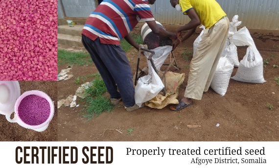 Why Use Certified Seed?