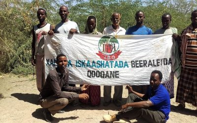 Role and Revival of Agricultural Cooperatives in Somalia