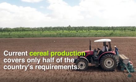 Unlocking the Potential of Agriculture mechanization in Somalia