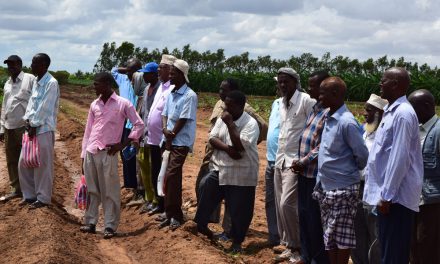 Demonstration Plots: A Source of Innovation, Modern Technology and Skills for Farmers