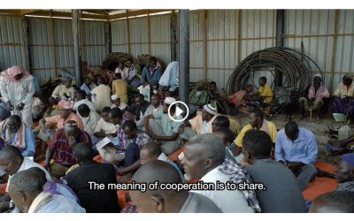 Somali Agriculture Cooperatives (Video)