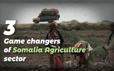 3 Game Changers of Somalia Agriculture Sector
