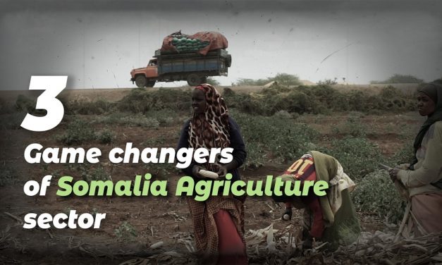 3 Game Changers of Somalia Agriculture Sector