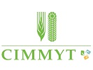 International Centre for Maize and Wheat Improvement (CIMMYT)